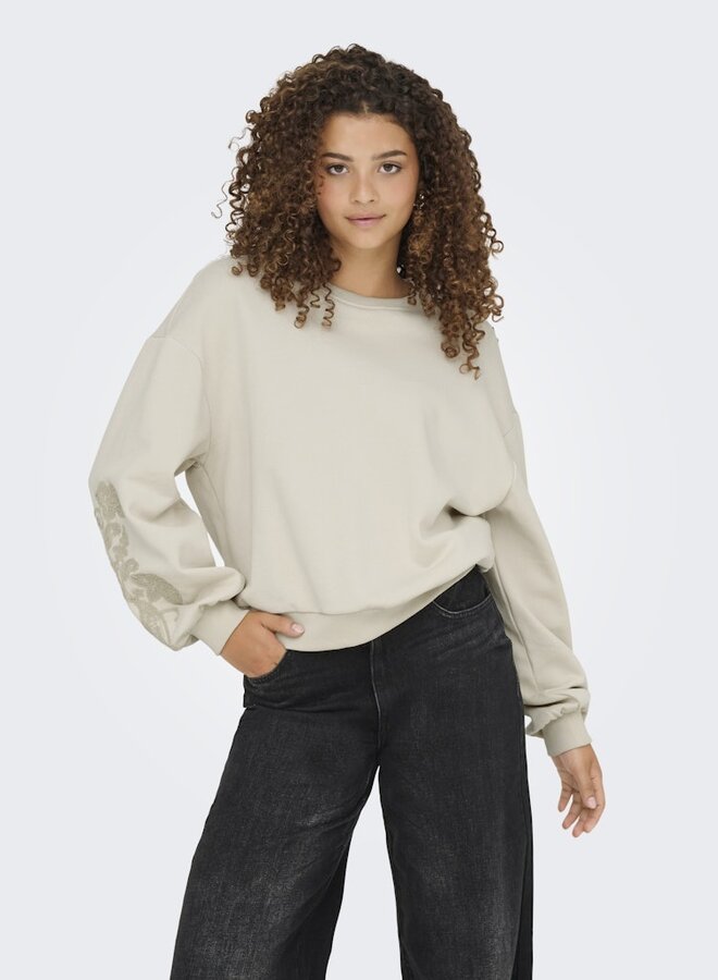 Sweater ONLBROOKLYN 15355805 - Birch