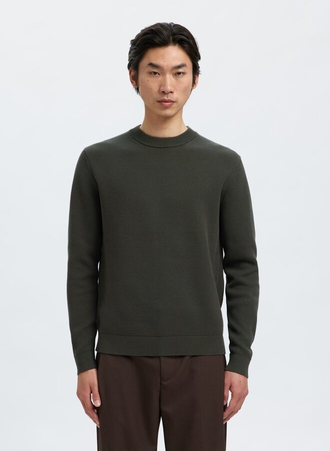 Trui 16092599 - Deep Forest