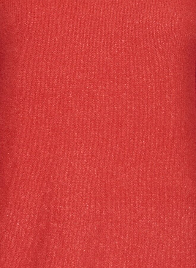 B.Young Trui 20818233 BYOLMA 1917571 Barbados Cherry