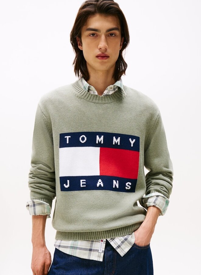 Tommy Hilfiger Trui DM0DM22105 - Utility Sage Htr