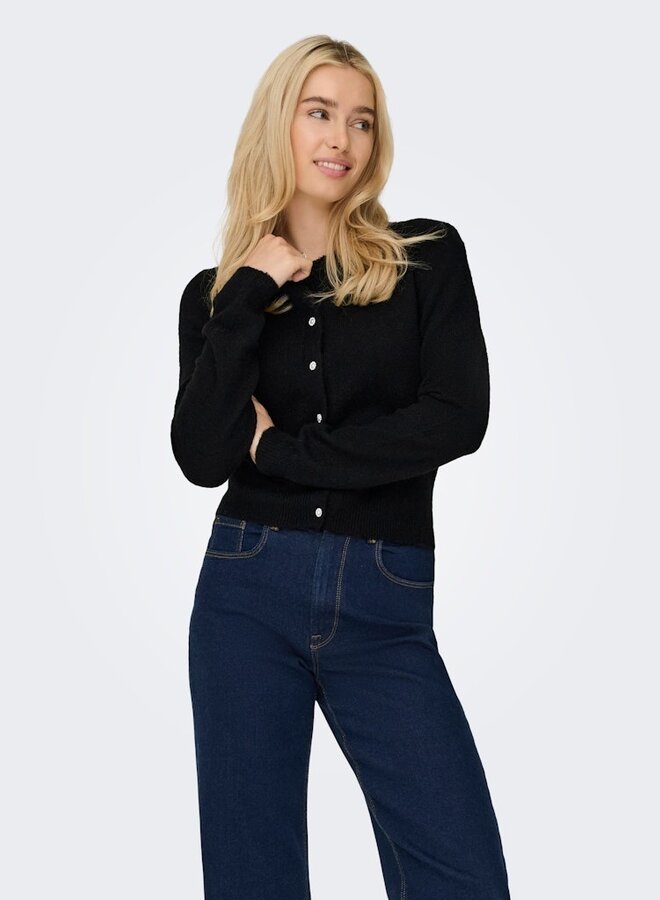 Only Vest ONLHAVANNA 15358548 - Black