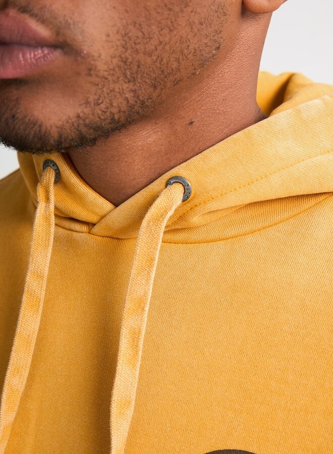 Petrol Hoodie Sweater Hooded Print M-3050-SWH311 - Sunflower