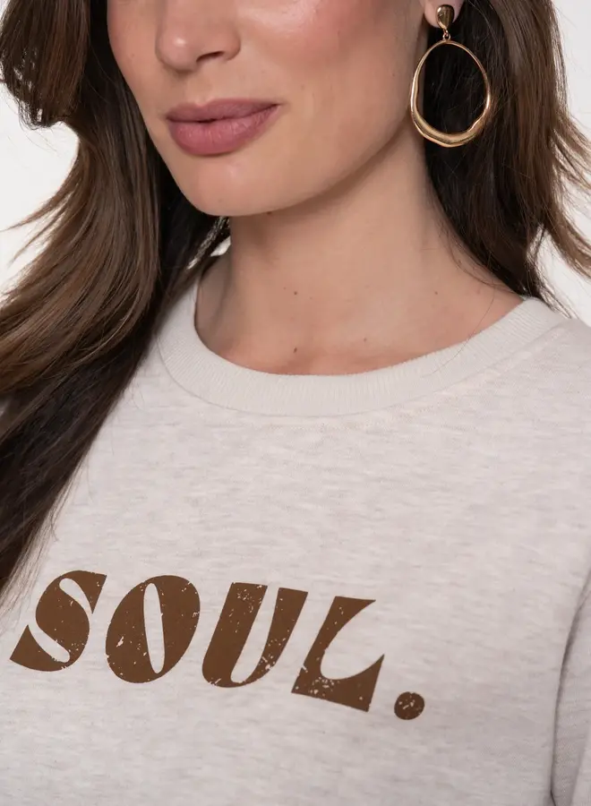 Geisha Sweater Soul 52890-24 - Beige Melange