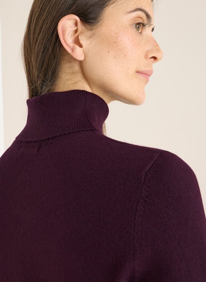 Cecil Jurk Met Col B144692 - 16855 Eggplant Red