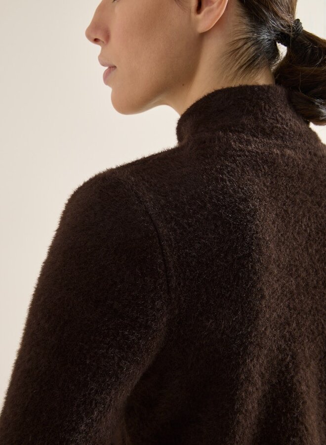 Cecil Jas B324146 - 16856 Tartufo Brown