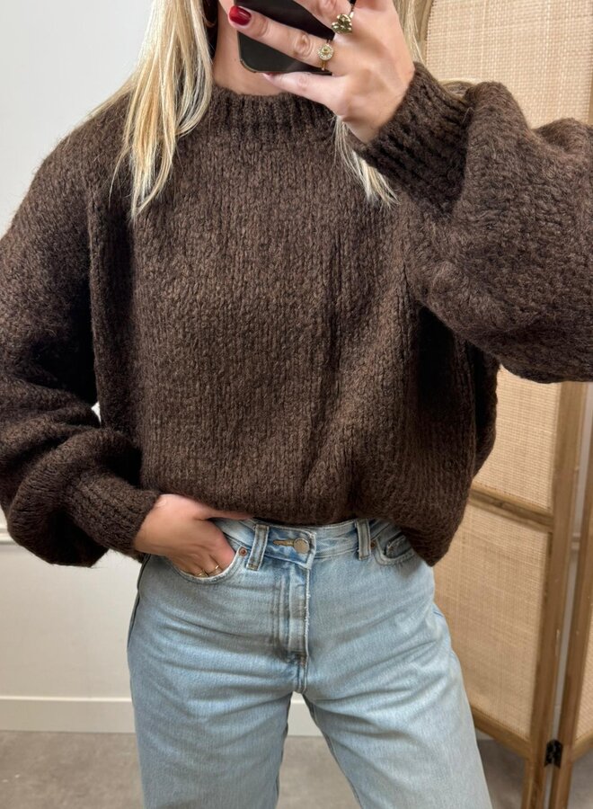 Ambika Trui 30099 - Bruin