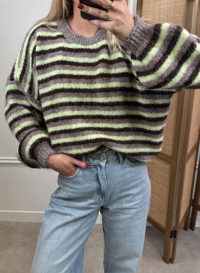 Ambika Trui Streep - Geel/Bruin