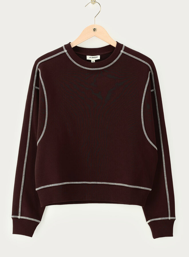 My Jewellery Sweater Contrasterende Stikses MJ15180-0100 - Bruin