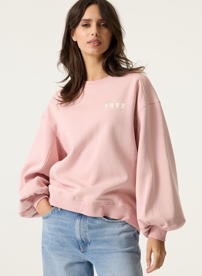 Sweater N260260 - 3106 Dusty Pink