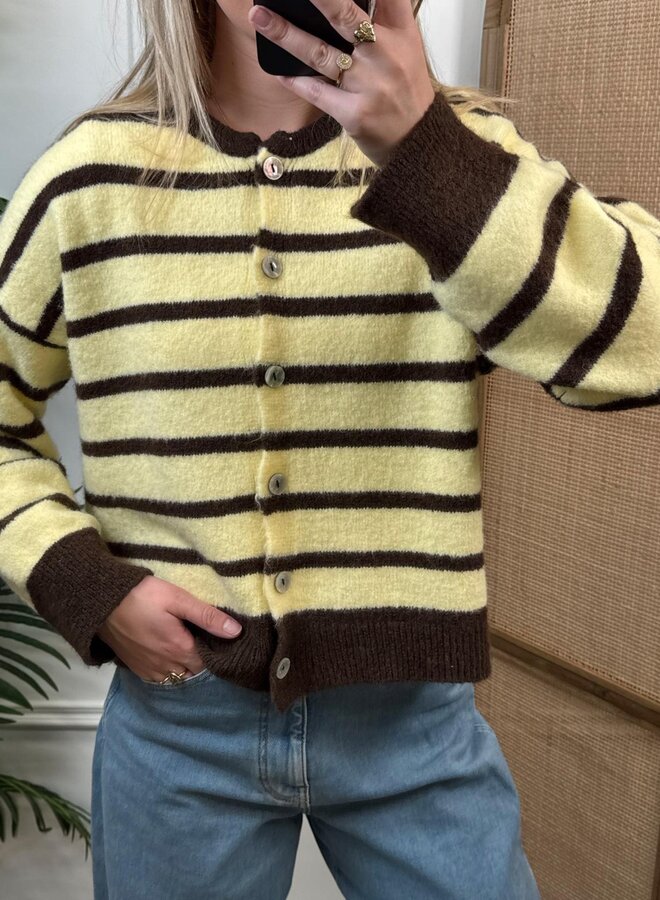 Ambika Gestreept Vest 51270 - Geel/Bruin