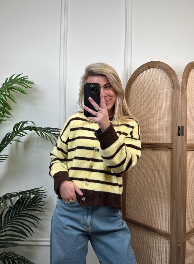 Ambika Gestreept Vest 51270 - Geel/Bruin