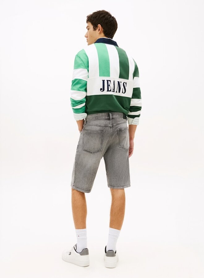 Tommy Hilfiger Jeans DM0DM22975 - 1DA Denim Grey