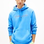 Tommy Hilfiger Hoodie DM0DM20746 - C38 Blue Twilight