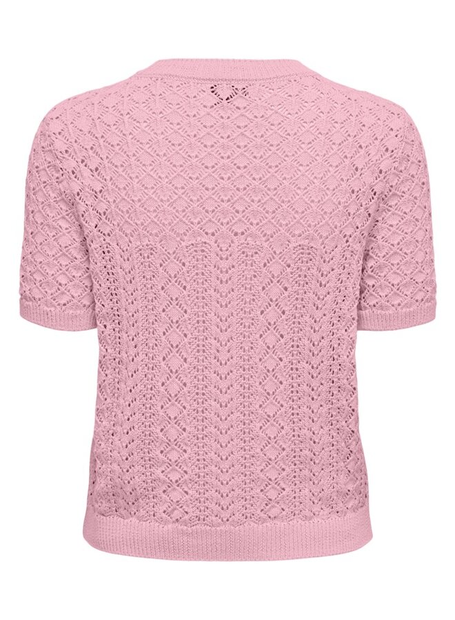 Only Top ONLSAGA 15339662 - Romance Rose