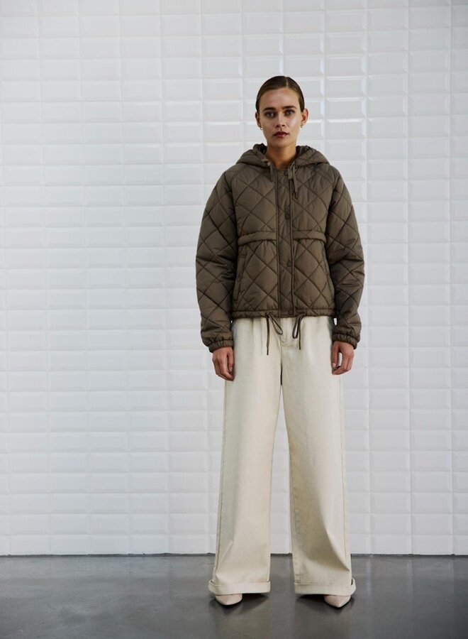 Jas 00000066 - Light Falcon