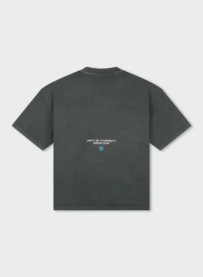 Equalité T-Shirt Elan EQ.26.2.6.18.243 - 243 WASHED GREY