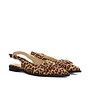 Poelman Slingbacks Cecile C0730-1PSH - Leopard