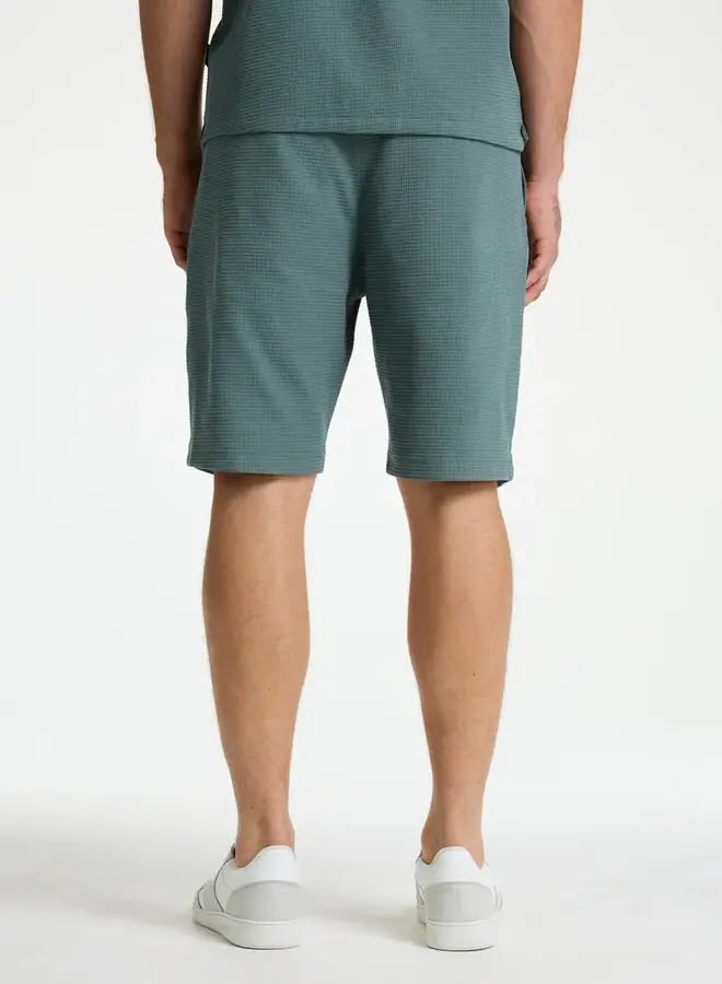 Chasin Short Stone.S Structure 23110006 - E53 Grijs