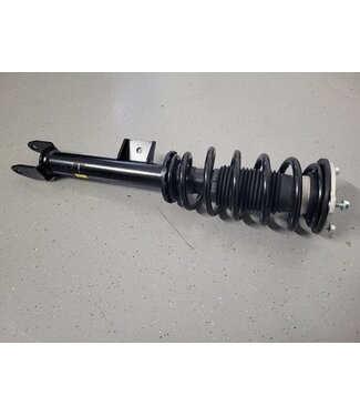 Triscan suspension leg rf complete model 3 RWD