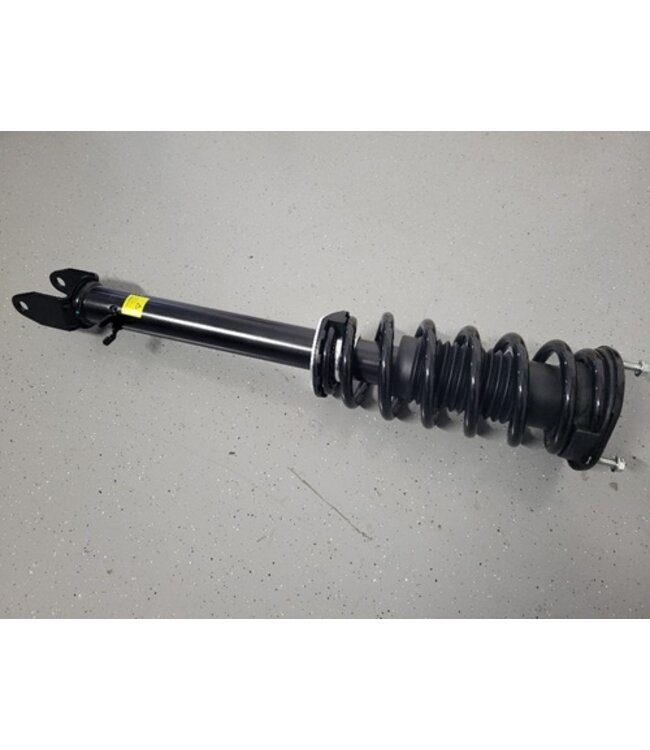 suspension leg front L/R model S RWD