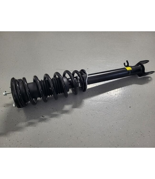 suspension leg front L/R model S RWD