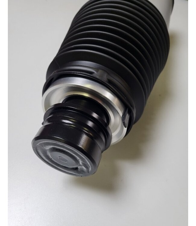 Air spring module front Model S