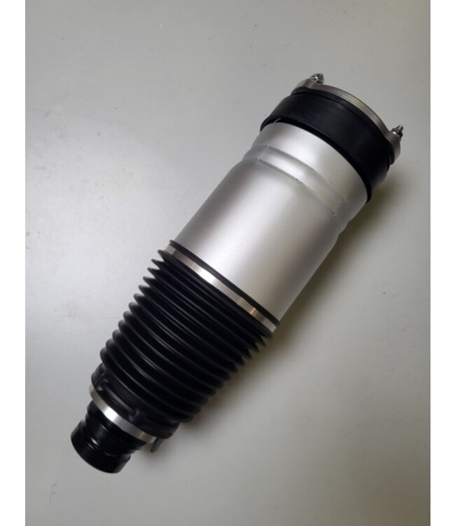 Pneumatische veerpoot module voorzijde Model S