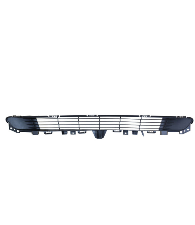 radiator grille, black