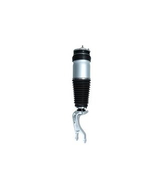 Kamoka air spring module front Model X