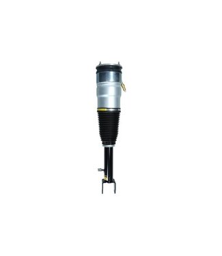 Kamoka air spring module front Model S rwd