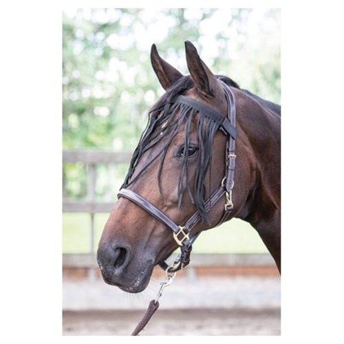 Harry's Horse Vliegenfrontriem zwart Harry's Horse Vliegenfrontriem zwart