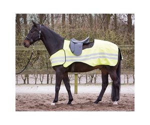 Reflective - Horse and Protect
