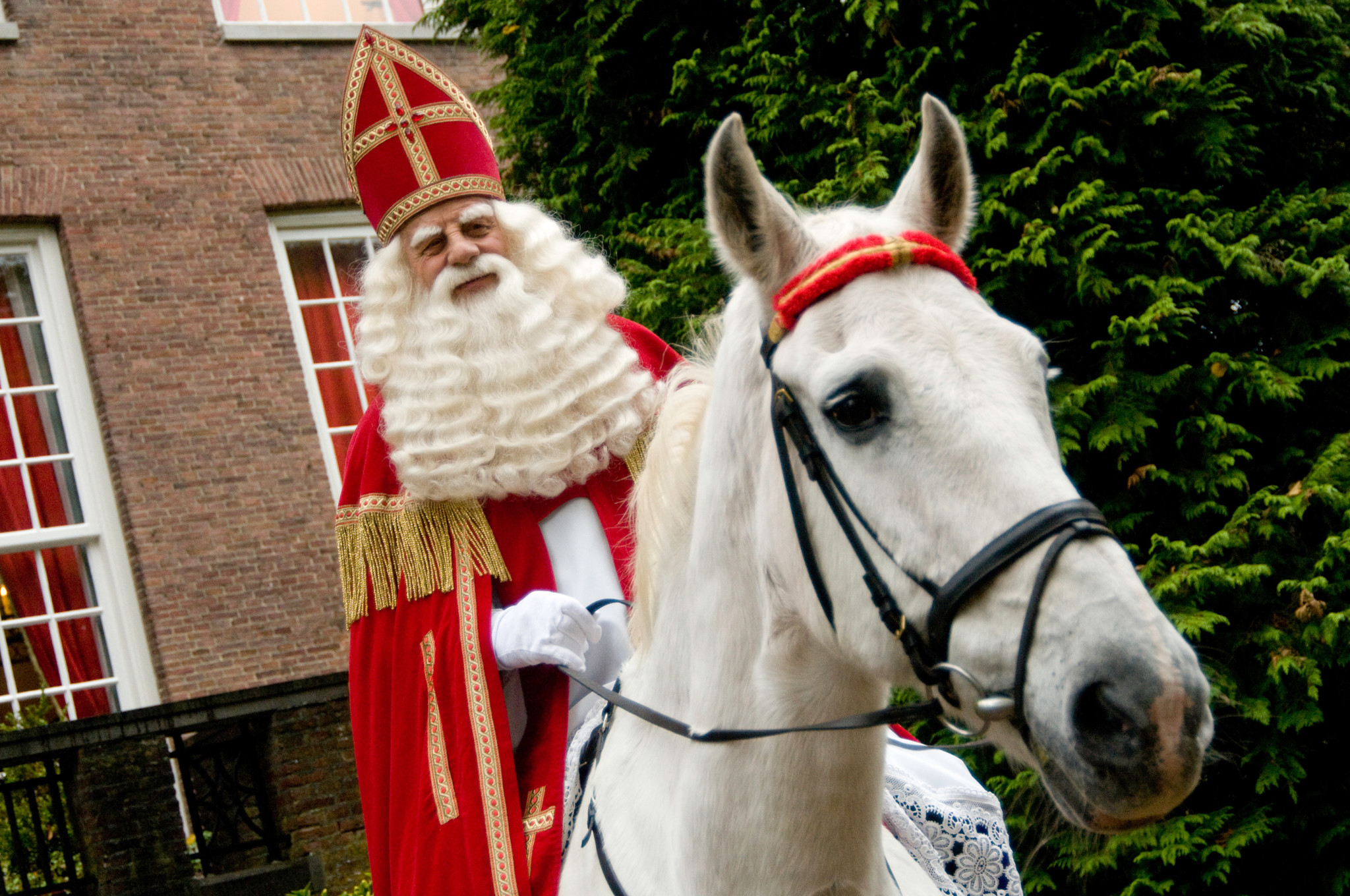 Het paard van Sinterklaas