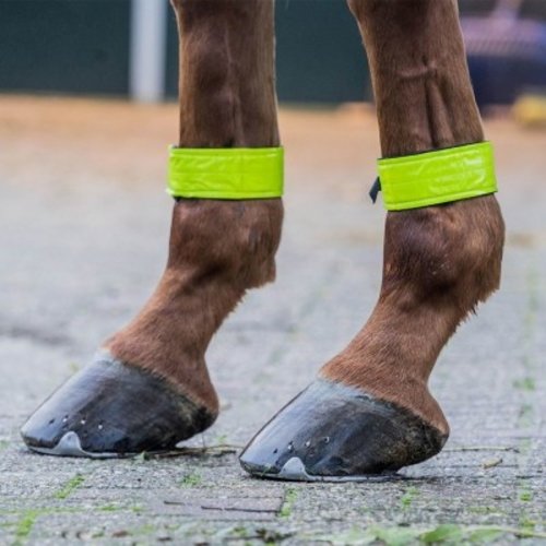 HORKA Reflecterende Been Straps HORKA Reflecterende Been Straps
