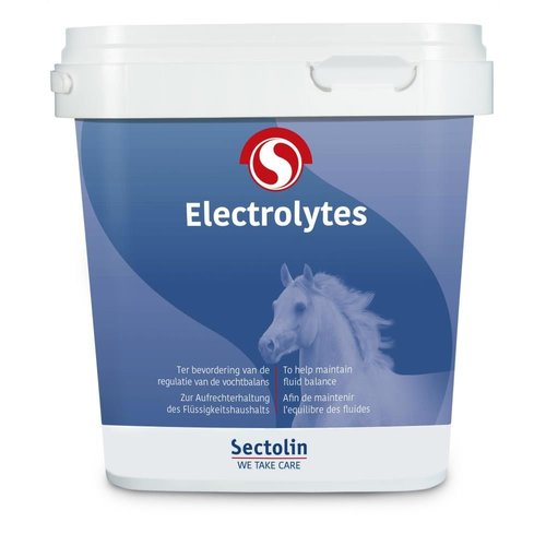 Sectolin Equivital Electrolyten 1000 gram - SALE!! Sectolin Equivital Electrolyten 1000 gram - SALE!!