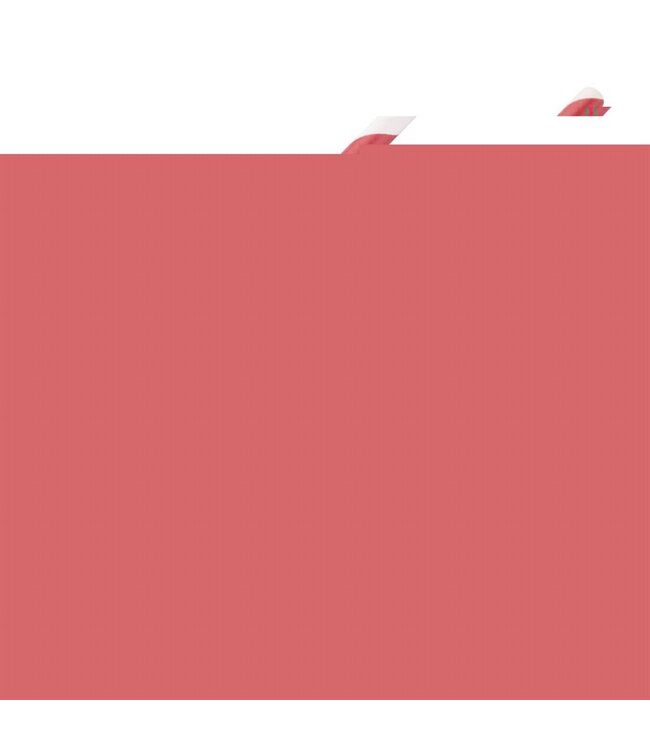 Rietje biologisch afbreekbaar rood-wit gestreept 6 x 210 mm papier - Fiesta Green  | prijs & verp per 250 stuks