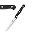 Fusion plus Steakmes met ronde punt 215 mm rvs met zwart abs heft - Fusion Basic | prijs & verp per 12 stuks