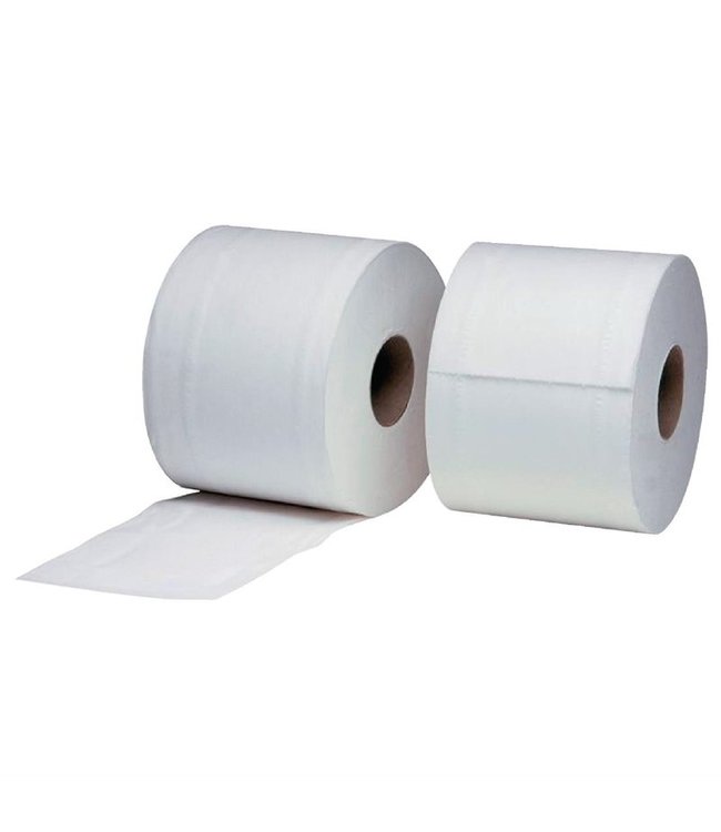 Toiletpapier 2-laags 320 vel | prijs & verp per 36 stuks