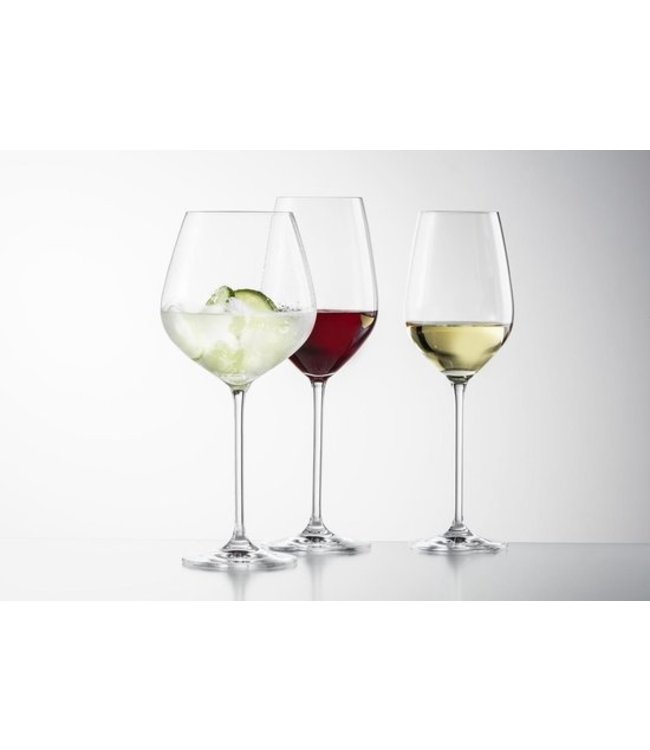 Wijnglazen 18-delige set Fortissimo - Schott Zwiesel