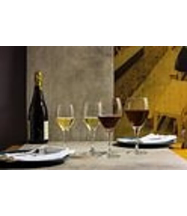 Wijnglas wit 25 cl Mondial - Schott Zwiesel | prijs & verp per 6 stuks