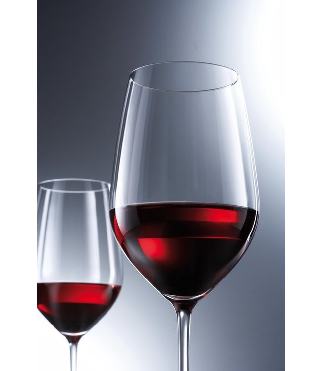 Wijnglas Bourgogne 40 cl Vina - Schott Zwiesel | prijs & verp per 6 stuks