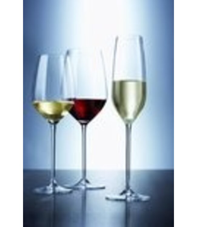 Wijnglas wit 40,4 cl Fortissimo - Schott Zwiesel | prijs & verp per 6 stuks