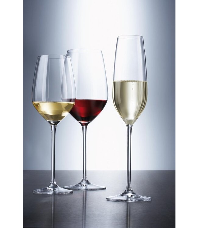 Champagneglas met MP 24 cl Fortissimo - Schott Zwiesel | prijs & verp per 6 stuks