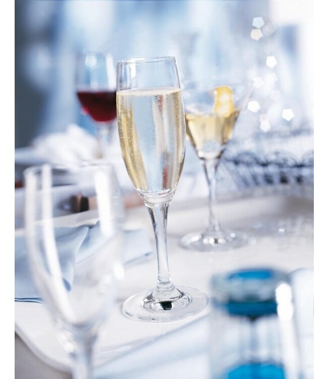 Champagneflûte groot 19 cl Mondial - Schott Zwiesel | prijs & verp per 6 stuks