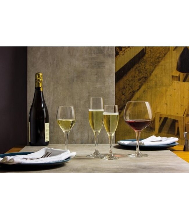Wijnglas goblet Bourgogne 59 cl Mondial - Schott Zwiesel | prijs & verp per 6 stuks