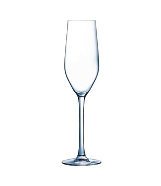 Arcoroc Champagneglas 16 cl Mineral - Arcoroc | prijs & verp per 24 stuks