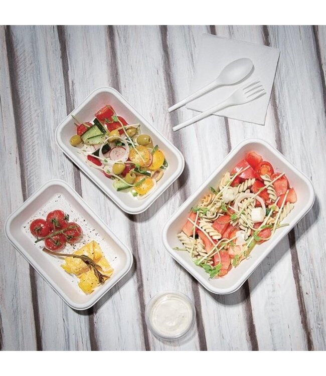 Snackbak disp suikerriet 45,5 cl 180 x 120 x 35 mm wit - Fiesta Green | prijs & verp per 50 stuks