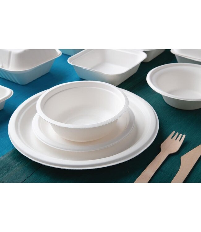 Bord composteerbaar bagasse suikerriet 260 mm - Fiesta Green | prijs & verp per 50 stuks
