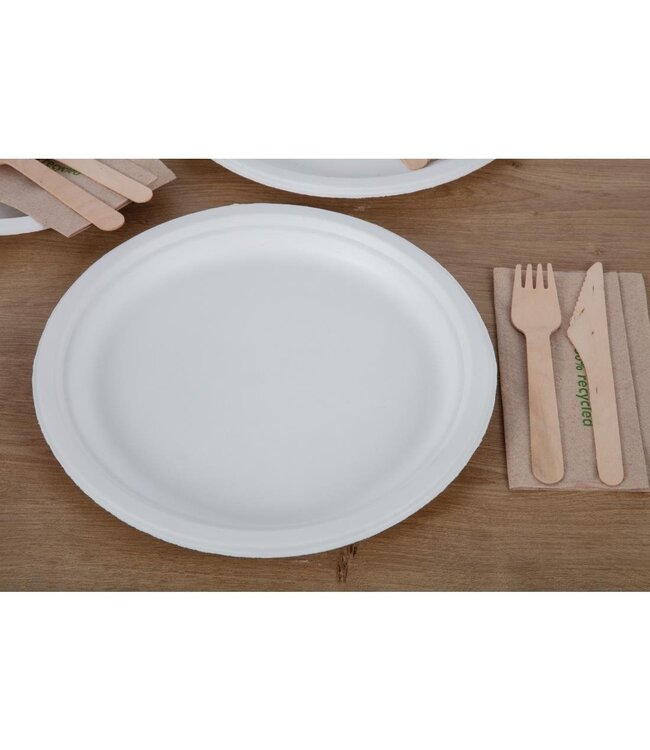 Bord composteerbaar bagasse suikerriet 260 mm - Fiesta Green | prijs & verp per 50 stuks