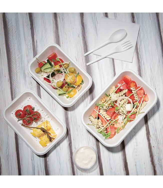 Snackbak disp suikerriet 91 cl 215 x 140 x 52 mm wit - Fiesta Green | prijs & verp per 50 stuks